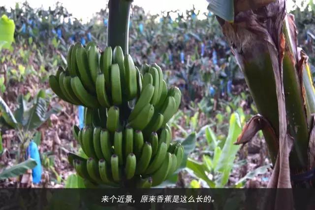 11天才跑一趟活？徐工重卡发文真实纪录散户卡车司机生存现状 - 第66张