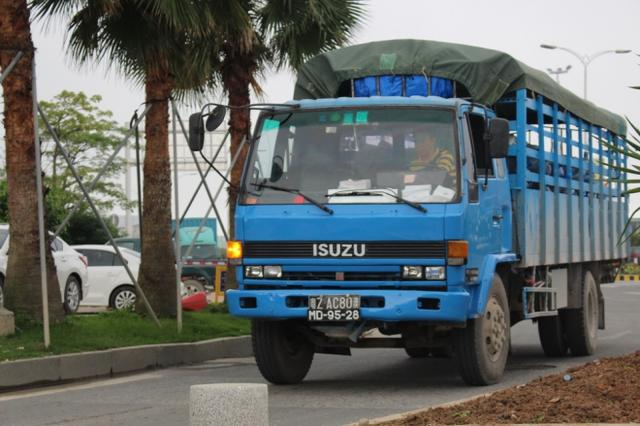 也是日系卡车为主?珠海横琴口岸的澳门货车实拍 - 第5张 - 提加商用车网 也是日系卡车为主?珠海横琴口岸的澳门货车实拍 - 第5张