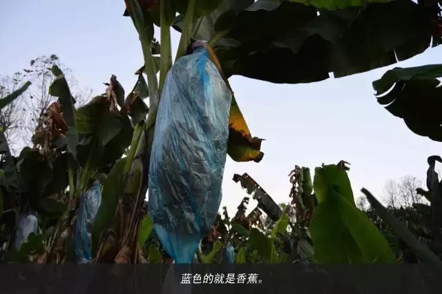 11天才跑一趟活？徐工重卡发文真实纪录散户卡车司机生存现状 - 第65张