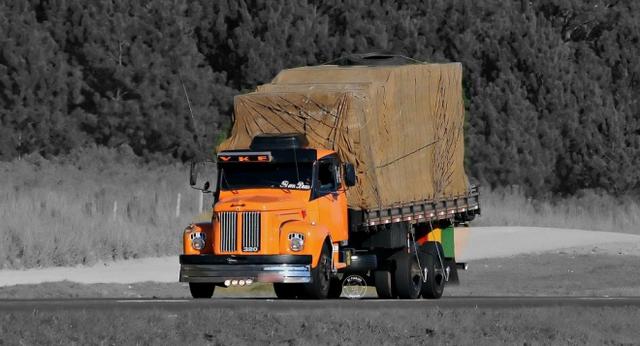 大众也产大卡车?风格独特的巴西卡车文化详解 - 第14张 - 提加商用车网 大众也产大卡车?风格独特的巴西卡车文化详解 - 第14张