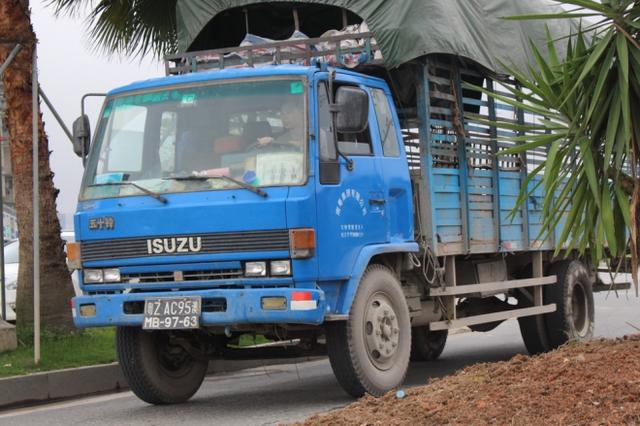 也是日系卡车为主?珠海横琴口岸的澳门货车实拍 - 第8张 - 提加商用车网 也是日系卡车为主?珠海横琴口岸的澳门货车实拍 - 第8张