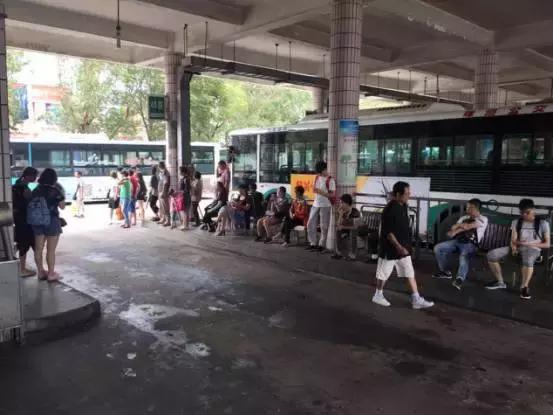 佩服董明珠的眼光,一场台风让大家看到了银隆新能源的真正价值 - 第2张 - 提加商用车网 佩服董明珠的眼光,一场台风让大家看到了银隆新能源的真正价值 - 第2张