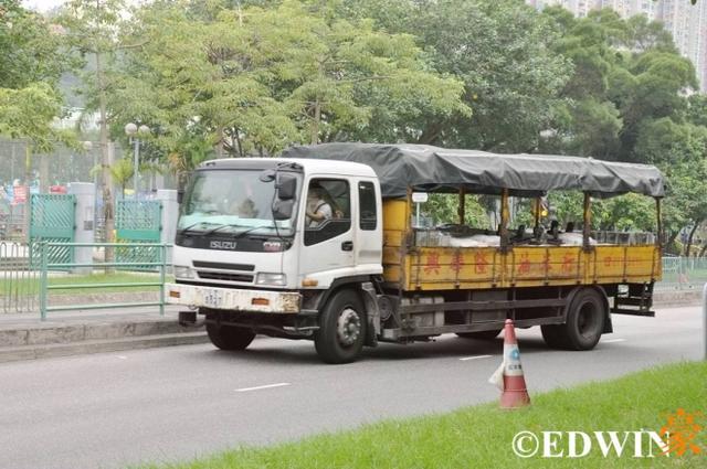 几乎没有国产车?香港街头卡车、客车实拍(上) - 第23张 - 提加商用车网 几乎没有国产车?香港街头卡车、客车实拍(上) - 第23张