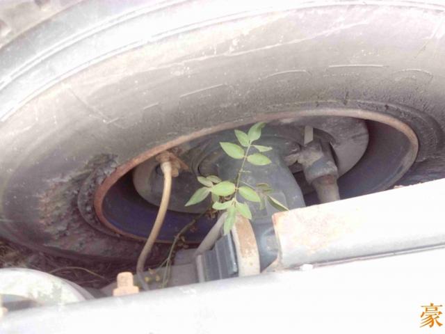 霸龙507的原型车 接近报废的雷诺Premiun重卡实拍 - 第15张