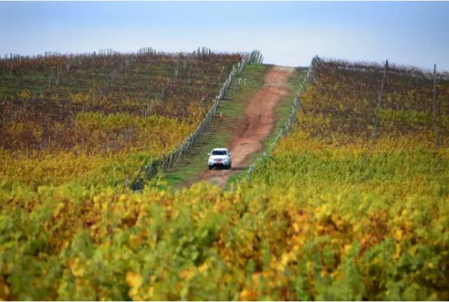 黑马的实力？帅铃T6皮卡热销海内外市场 - 第4张