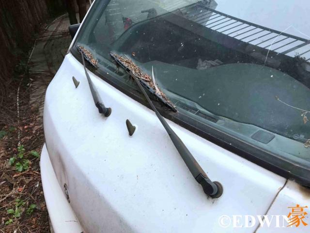 曾是金杯最强对手？已没落的韩国现代H100面包车实拍 - 第9张