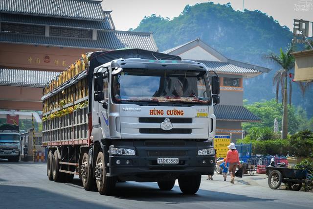 国产5轴10x4载货车流行,越南卡车市场至少落后中国十年 - 第2张 - 提加商用车网 国产5轴10x4载货车流行,越南卡车市场至少落后中国十年 - 第2张