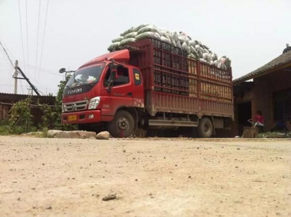 连“碰瓷”都盯上卡车司机了 盘点卡车人常遇到的江湖骗术 - 第4张