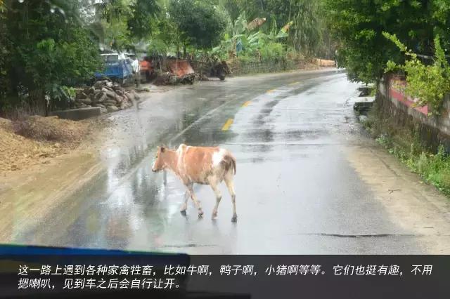 11天才跑一趟活?徐工重卡发文真实纪录散户卡车司机生存现状 - 第47张 - 提加商用车网 11天才跑一趟活?徐工重卡发文真实纪录散户卡车司机生存现状 - 第47张