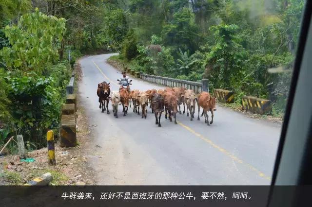 11天才跑一趟活?徐工重卡发文真实纪录散户卡车司机生存现状 - 第72张 - 提加商用车网 11天才跑一趟活?徐工重卡发文真实纪录散户卡车司机生存现状 - 第72张