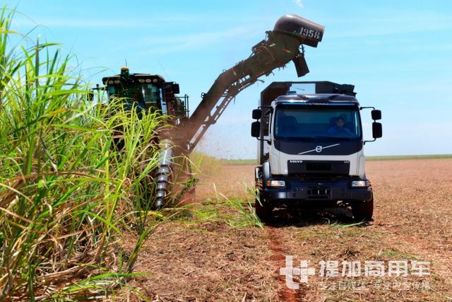 厉害了，不愧是沃尔沃卡车，收割甘蔗都能玩出黑科技 - 第3张