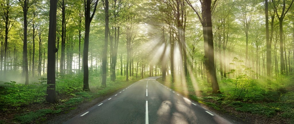 沃尔沃卡车图书馆关爱计划,照亮乡村儿童的未来之路 - 第4张 - 提加商用车网 沃尔沃卡车图书馆关爱计划,照亮乡村儿童的未来之路 - 第4张