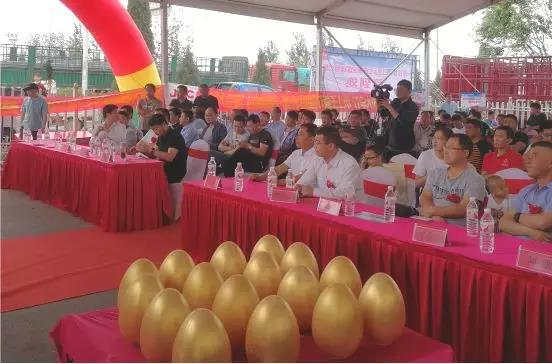 高效物流而来,骏铃绿通节油王沧州成功上市 - 第3张 - 提加商用车网 高效物流而来,骏铃绿通节油王沧州成功上市 - 第3张