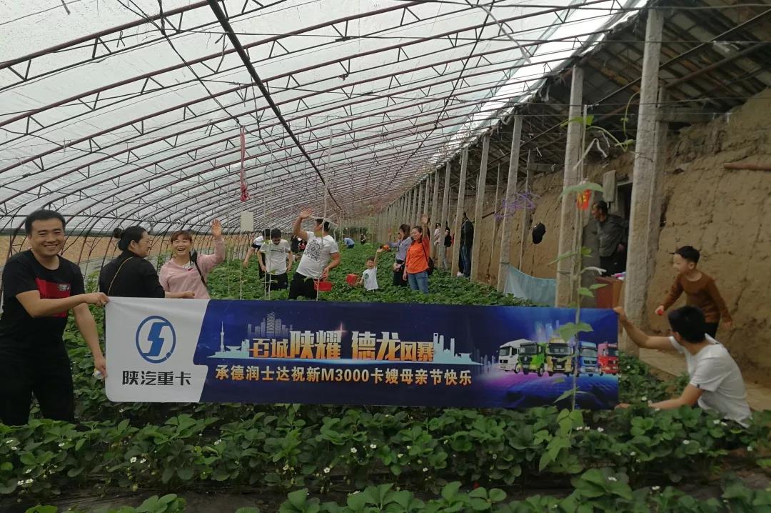 燃初夏百城陕耀,陕汽重卡在全国多城举办活动 - 第7张 - 提加商用车网 燃初夏百城陕耀,陕汽重卡在全国多城举办活动 - 第7张