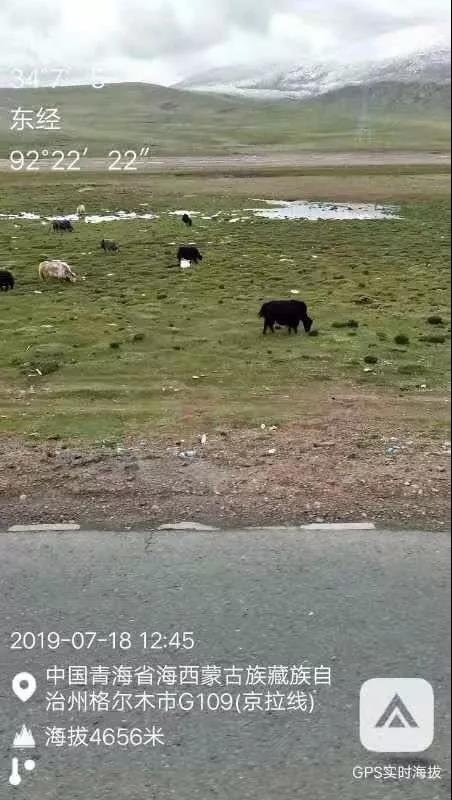 5197米!直播高反来袭,青藏线半程已过、勇往直前! - 第6张 - 提加商用车网 5197米!直播高反来袭,青藏线半程已过、勇往直前! - 第6张