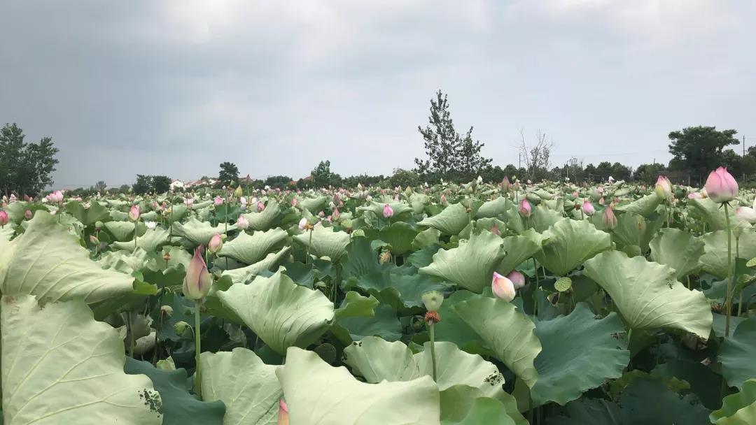 用真心换真情,奥铃3小时达服务解客户之忧 - 第3张 - 提加商用车网 用真心换真情,奥铃3小时达服务解客户之忧 - 第3张