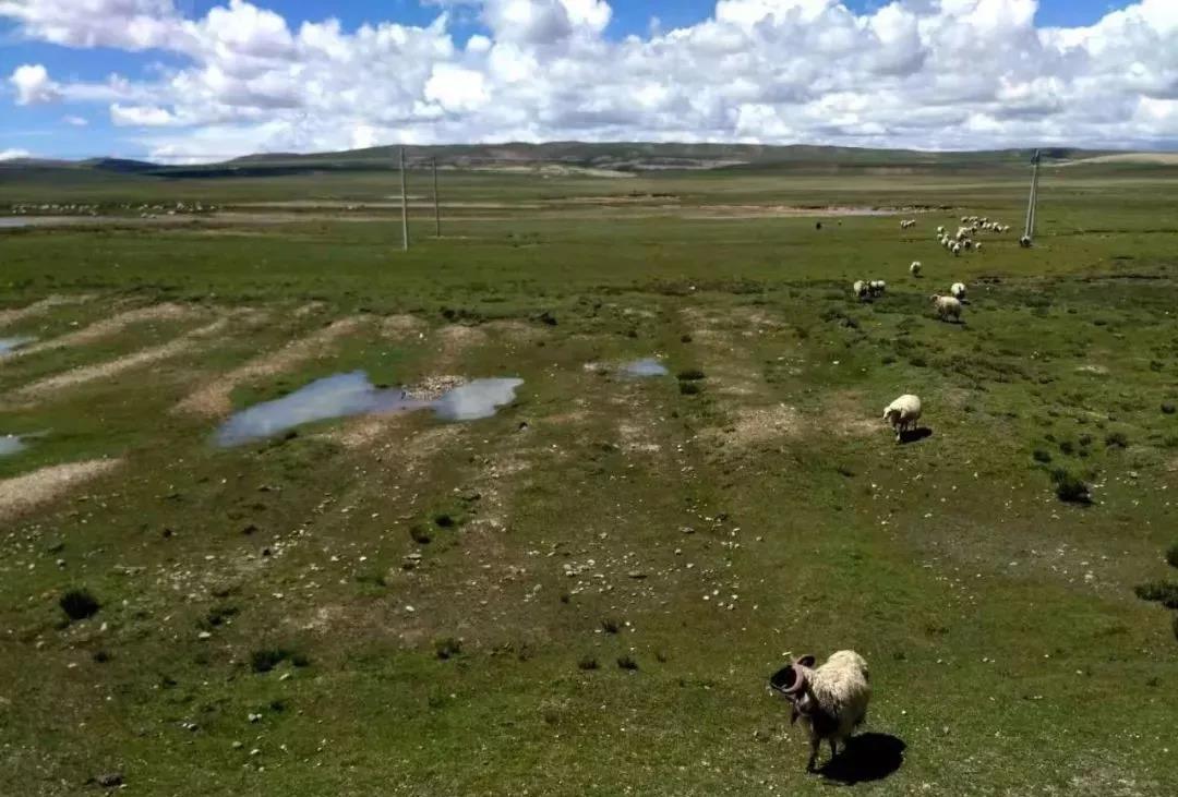 4000公里,5000米海拔,7天行驶......胜利穿越阿里无人区的 “秘密武器”原来是这个! - 第1张 - 提加商用车网 4000公里,5000米海拔,7天行驶......胜利穿越阿里无人区的 “秘密武器”原来是这个! - 第1张