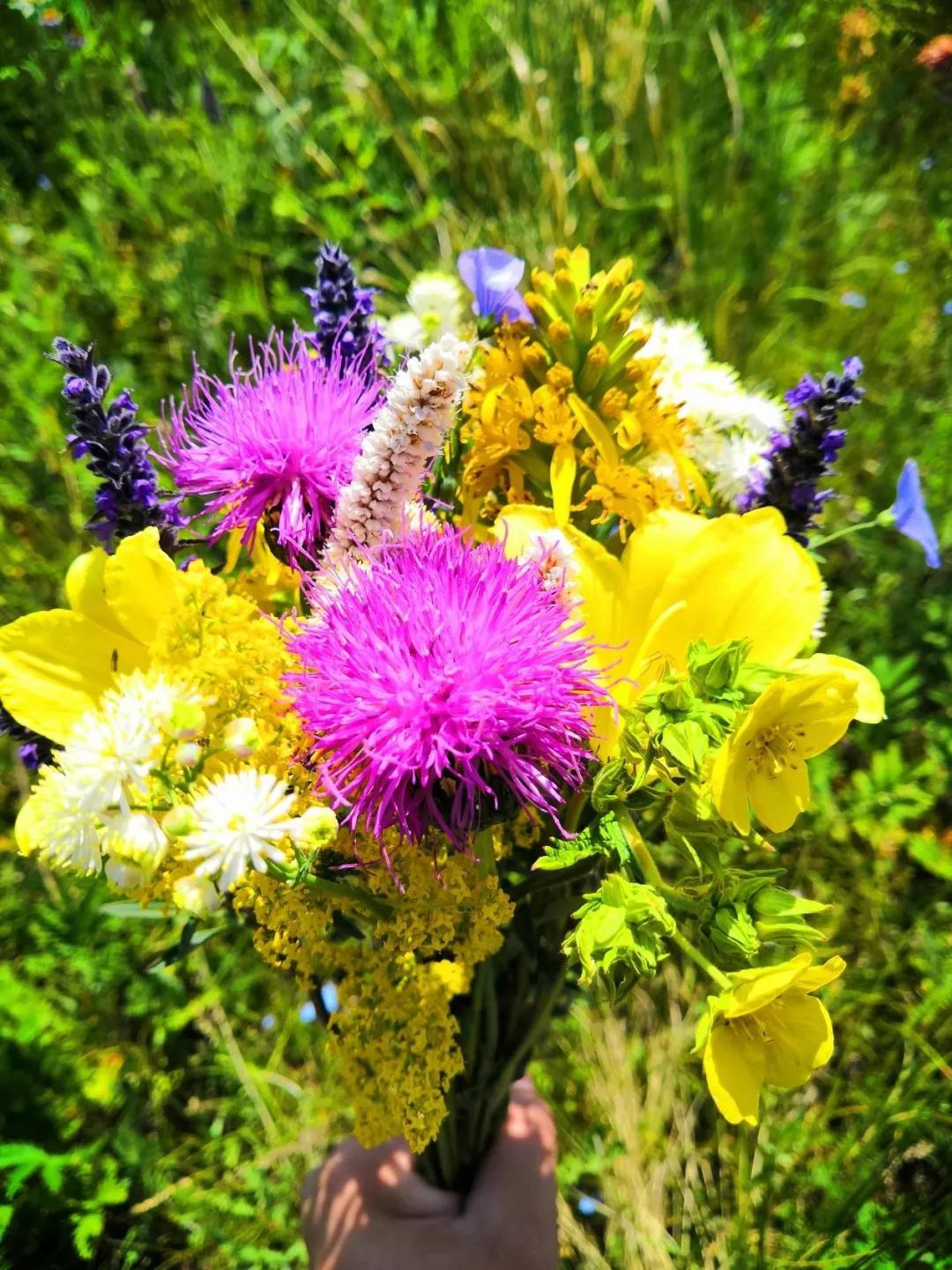 想要一场说走就走的的旅行?拓陆者E7大皮卡是最佳伴侣! - 第7张 - 提加商用车网 想要一场说走就走的的旅行?拓陆者E7大皮卡是最佳伴侣! - 第7张