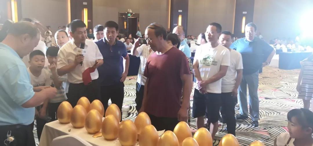 携轻量化技术,帅铃全能城配版助力千年古都焕发新活力 - 第11张 - 提加商用车网 携轻量化技术,帅铃全能城配版助力千年古都焕发新活力 - 第11张