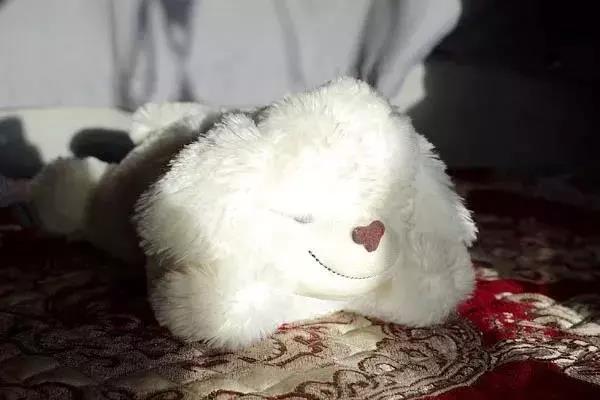 每个闯荡的卡车人，都有一肚子的故事 - 第7张