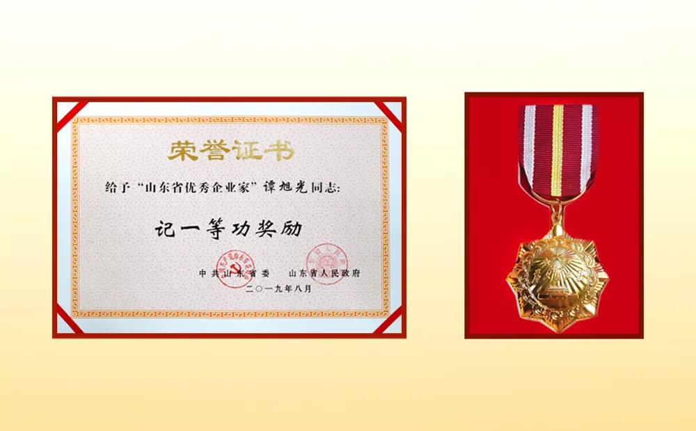 山东省委省政府授予谭旭光“山东省优秀企业家”称号 - 第2张