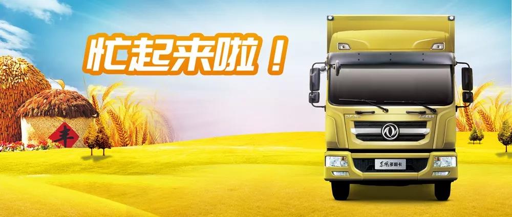 又是一年丰收季,东风多利卡D9绿通运输专家为您来拉货 - 第4张 - 提加商用车网 又是一年丰收季,东风多利卡D9绿通运输专家为您来拉货 - 第4张