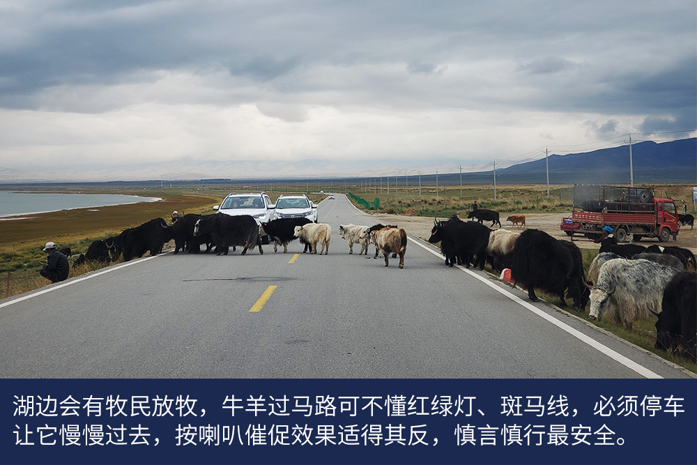 90后小伙为何买沃尔沃卡车跑新疆线？全程跟车体验报告（一） - 第17张