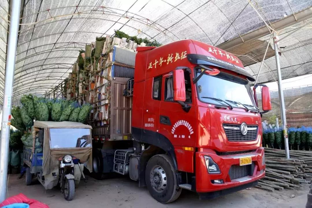 通关!东风天龙KL560东南线路实测 百公里油耗29.9L - 第5张 - 提加商用车网 通关!东风天龙KL560东南线路实测 百公里油耗29.9L - 第5张