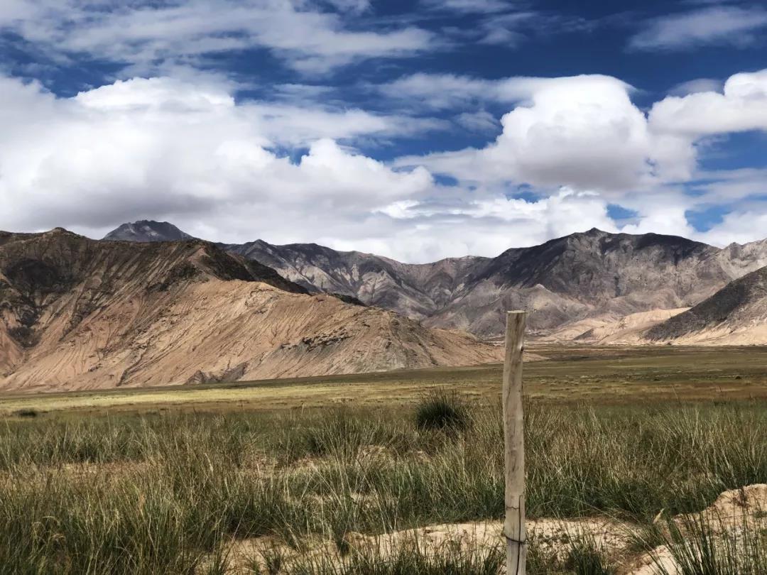 首站韩国,吉利远程新能源商用车全球战略布局正式开启 - 第6张 - 提加商用车网 首站韩国,吉利远程新能源商用车全球战略布局正式开启 - 第6张