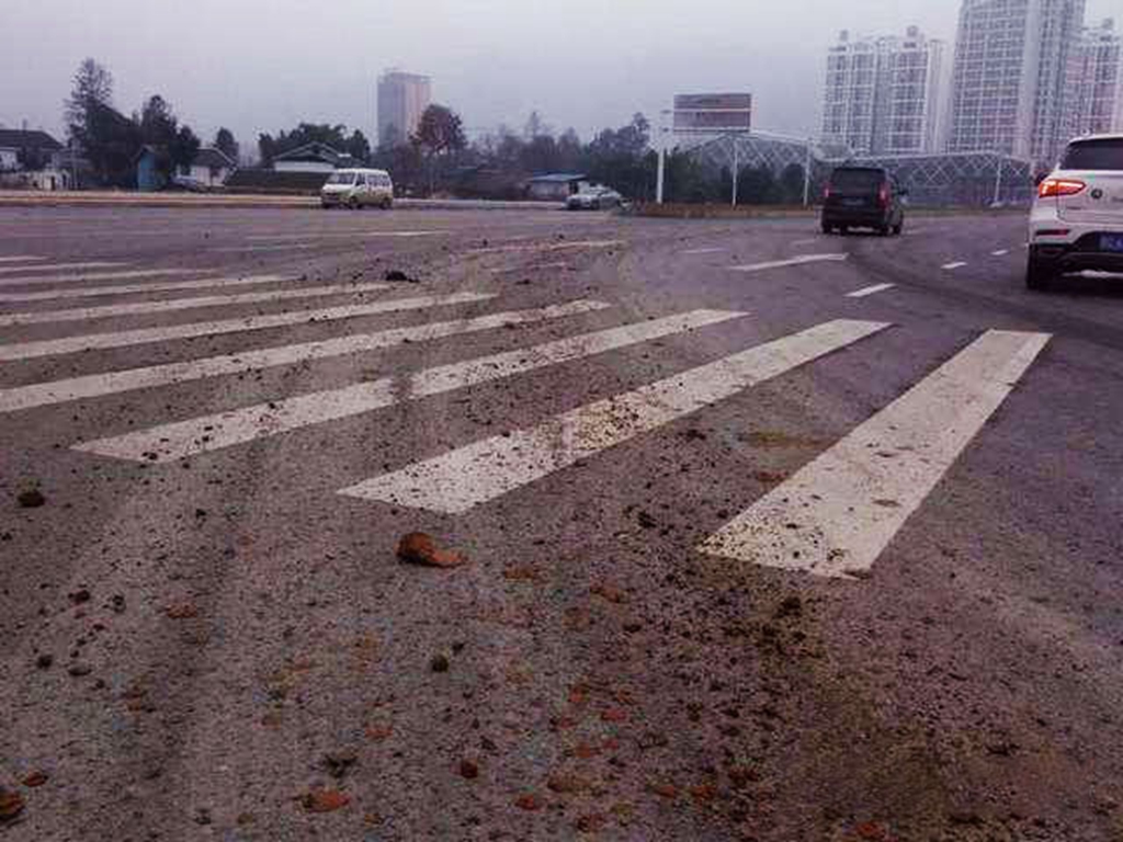 深圳重拳出击泥头车,24亿元减排奖励谁是最大赢家? - 第7张 - 提加商用车网 深圳重拳出击泥头车,24亿元减排奖励谁是最大赢家? - 第7张