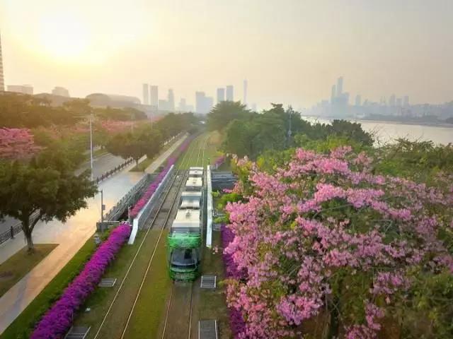 绿色公交邂逅“2019中国最具幸福感城市”,安凯客车为幸福“加码” - 第2张 - 提加商用车网 绿色公交邂逅“2019中国最具幸福感城市”,安凯客车为幸福“加码” - 第2张