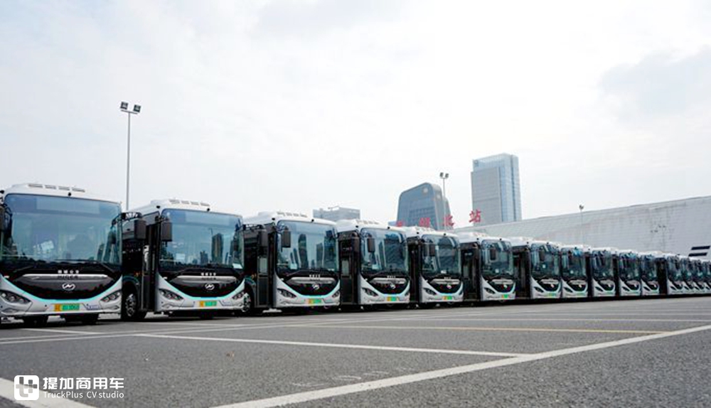 连续3个月创近5年销量新低,2019年11月国内客车销量详析(上) - 第15张 - 提加商用车网 连续3个月创近5年销量新低,2019年11月国内客车销量详析(上) - 第15张