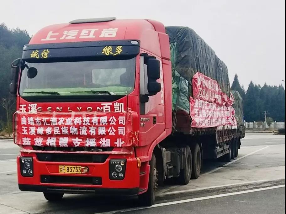 助力保障疫区“菜篮子” 红岩杰狮满载果蔬驰援湖北 - 第1张 - 提加商用车网 助力保障疫区“菜篮子” 红岩杰狮满载果蔬驰援湖北 - 第1张