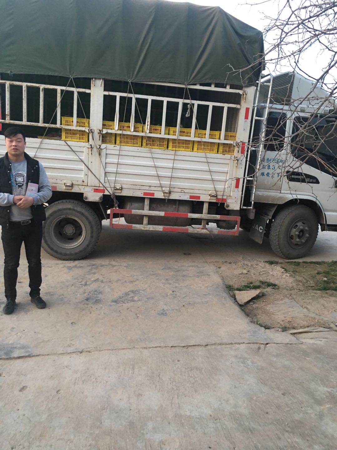 江淮轻卡老师傅告诉你跑绿通怎么挣钱 - 第5张 - 提加商用车网 江淮轻卡老师傅告诉你跑绿通怎么挣钱 - 第5张