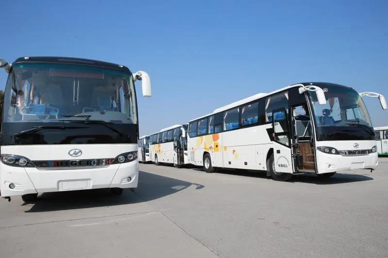 交车啦!42辆苏州金龙海格客车助力天津“复工潮”! - 第8张 - 提加商用车网 交车啦!42辆苏州金龙海格客车助力天津“复工潮”! - 第8张