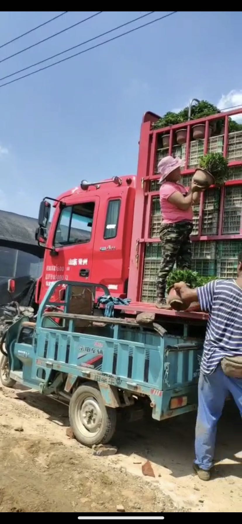 复工选“三高一低”重卡提升运营价值,老司机们都在开格尔发 - 第2张 - 提加商用车网 复工选“三高一低”重卡提升运营价值,老司机们都在开格尔发 - 第2张