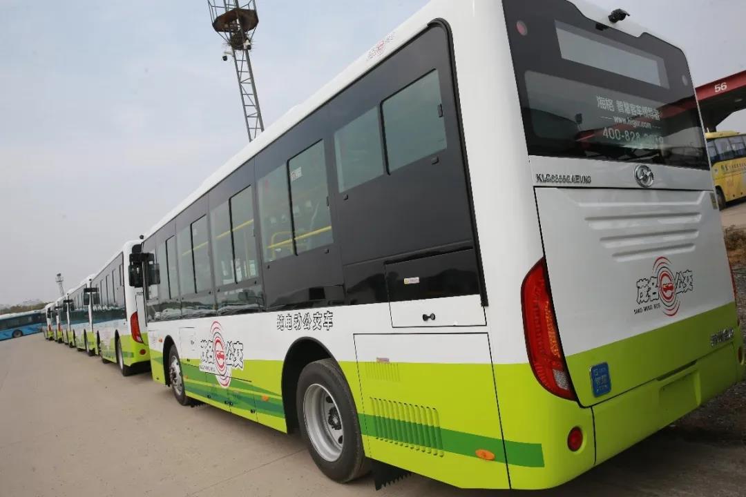 30辆苏州金龙蔚蓝纯电公交,助力茂名绿色出行! - 第4张 - 提加商用车网 30辆苏州金龙蔚蓝纯电公交,助力茂名绿色出行! - 第4张