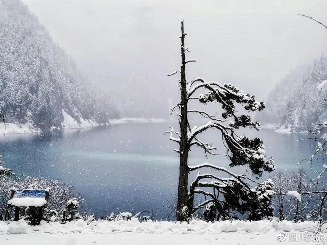 美! 银隆“绿巨人”走进九寨沟版“冰雪奇缘” - 第1张 - 提加商用车网 美! 银隆“绿巨人”走进九寨沟版“冰雪奇缘” - 第1张