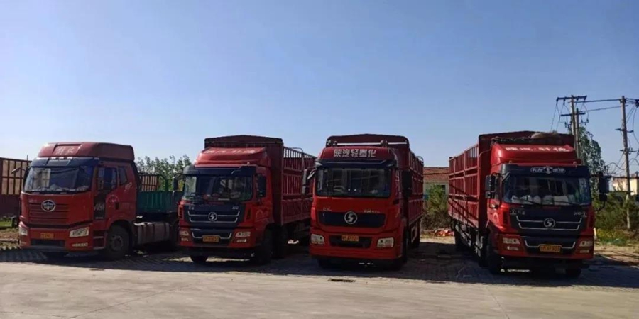 陕汽重卡丨价值承载通天下 ,品牌关怀入终端 - 第1张 - 提加商用车网 陕汽重卡丨价值承载通天下 ,品牌关怀入终端 - 第1张