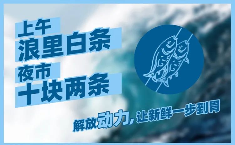 拥有J6L你不仅拥有强劲动力，更有铂威专属福利 - 第2张