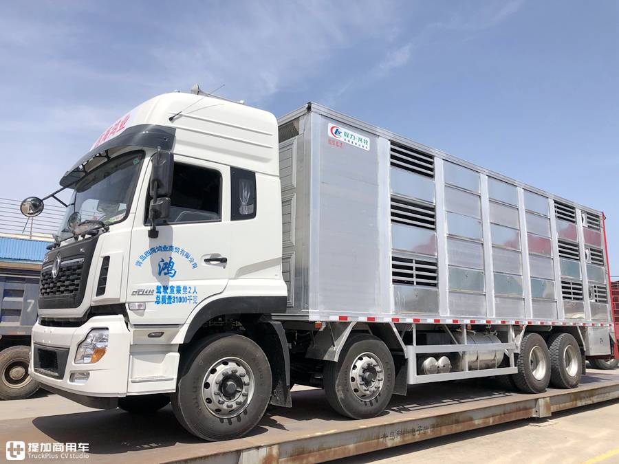专业的猪崽运输车,售价高达80万?天龙VL载货车底盘的畜禽运输车实拍 - 第2张 - 提加商用车网 专业的猪崽运输车,售价高达80万?天龙VL载货车底盘的畜禽运输车实拍 - 第2张
