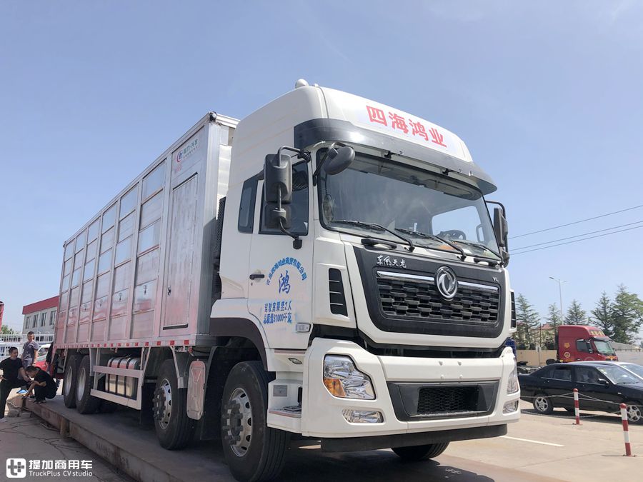专业的猪崽运输车,售价高达80万?天龙VL载货车底盘的畜禽运输车实拍 - 第16张 - 提加商用车网 专业的猪崽运输车,售价高达80万?天龙VL载货车底盘的畜禽运输车实拍 - 第16张