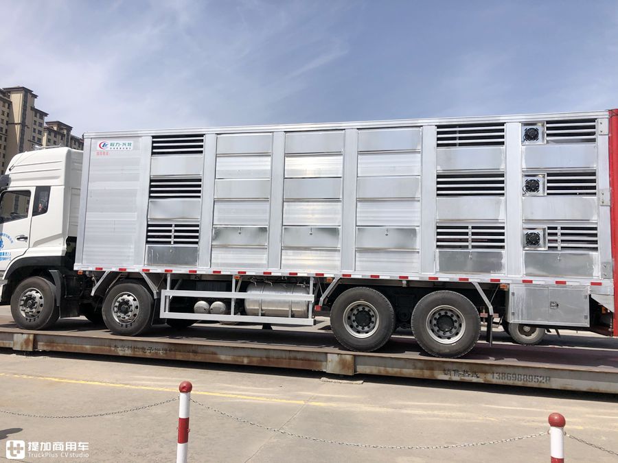 专业的猪崽运输车,售价高达80万?天龙VL载货车底盘的畜禽运输车实拍 - 第17张 - 提加商用车网 专业的猪崽运输车,售价高达80万?天龙VL载货车底盘的畜禽运输车实拍 - 第17张