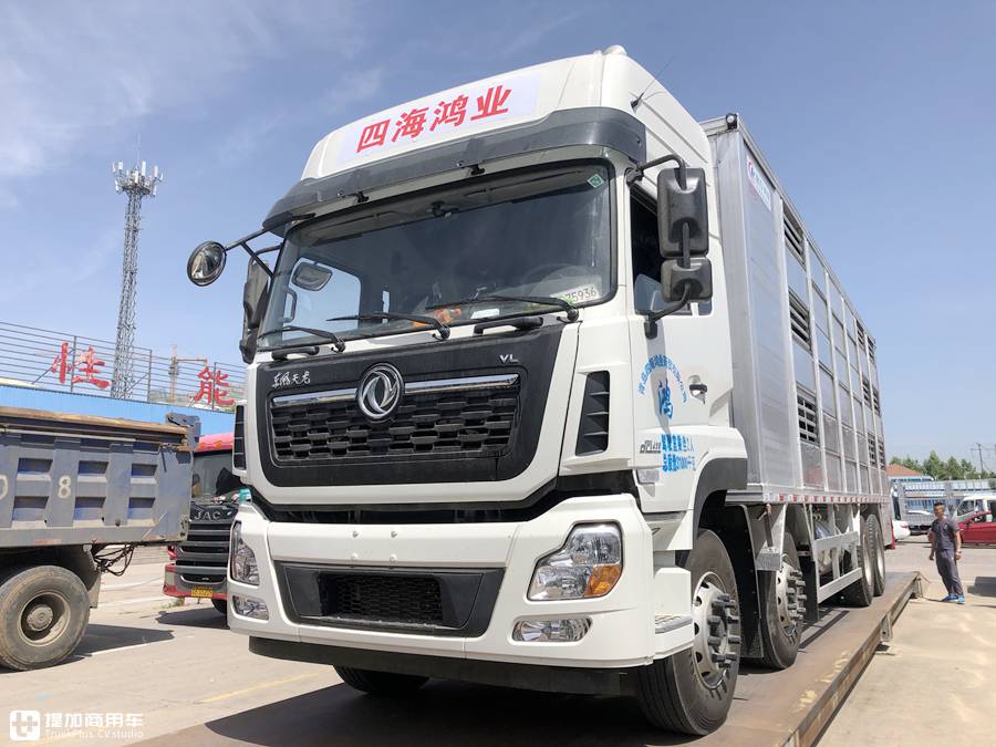 专业的猪崽运输车,售价高达80万?天龙VL载货车底盘的畜禽运输车实拍 - 第1张 - 提加商用车网 专业的猪崽运输车,售价高达80万?天龙VL载货车底盘的畜禽运输车实拍 - 第1张
