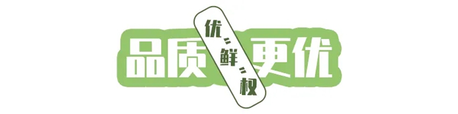 德龙X3000绿通版载货车,给你无法拒绝的优“鲜”权! - 第4张 - 提加商用车网 德龙X3000绿通版载货车,给你无法拒绝的优“鲜”权! - 第4张