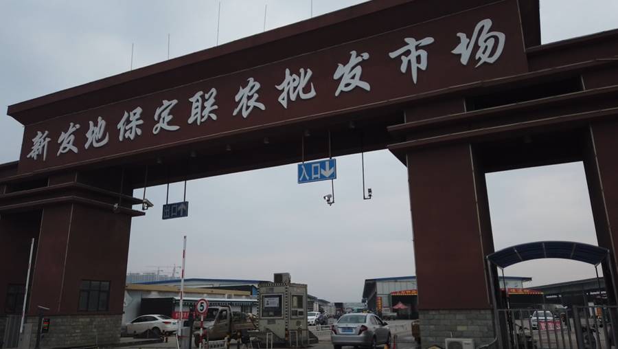 疫情下选择国六祥菱创业1号翼展车 ,王雄伟赚钱的心坚定不移 - 第2张 - 提加商用车网 疫情下选择国六祥菱创业1号翼展车 ,王雄伟赚钱的心坚定不移 - 第2张