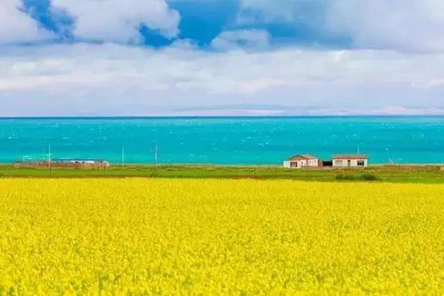跨省游重启,龙威II代悦享版为高端旅游客运发展蓄力 - 第3张 - 提加商用车网 跨省游重启,龙威II代悦享版为高端旅游客运发展蓄力 - 第3张