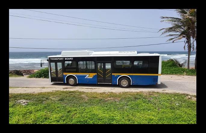 海滩、美食、蕾哈娜,快上车,比亚迪客车带你去逛加勒比海! - 第4张 - 提加商用车网 海滩、美食、蕾哈娜,快上车,比亚迪客车带你去逛加勒比海! - 第4张