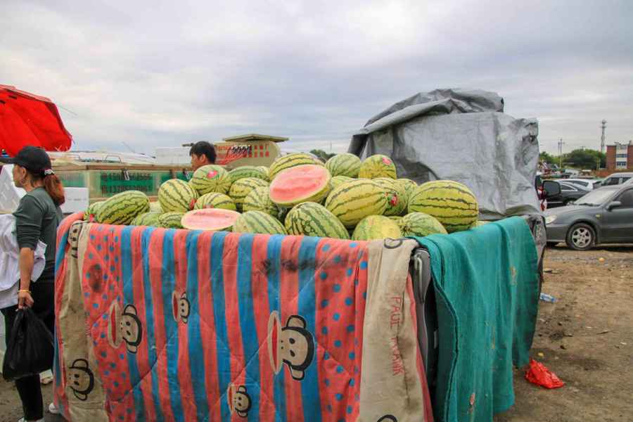 性能过硬,服务周到,创富之路从福田祥菱开始 - 第5张 - 提加商用车网 性能过硬,服务周到,创富之路从福田祥菱开始 - 第5张