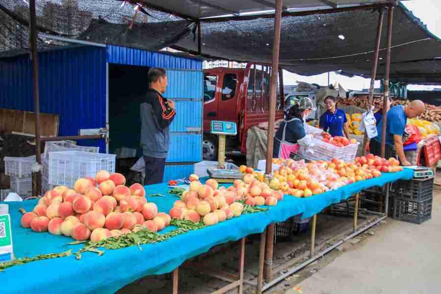 性能过硬,服务周到,创富之路从福田祥菱开始 - 第1张 - 提加商用车网 性能过硬,服务周到,创富之路从福田祥菱开始 - 第1张